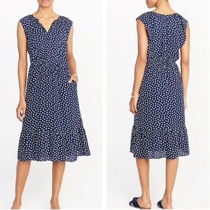 J. Crew Mercantile dragonflies navy prairie dress